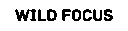 wild focus footer